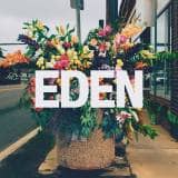 A New Eden Chords