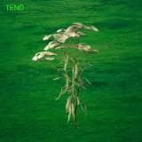 Tend Chords