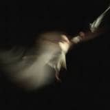 The Lord Almighty Chords